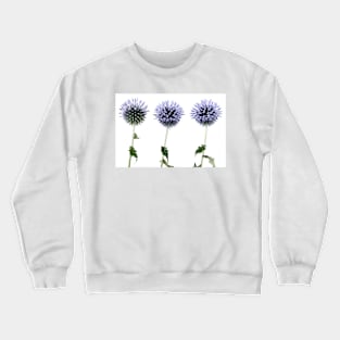 Echinops Crewneck Sweatshirt